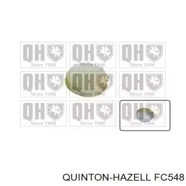 Tapon liquido refrigerante Honda 19102RNAA00 precio, desde 6,22 EUR