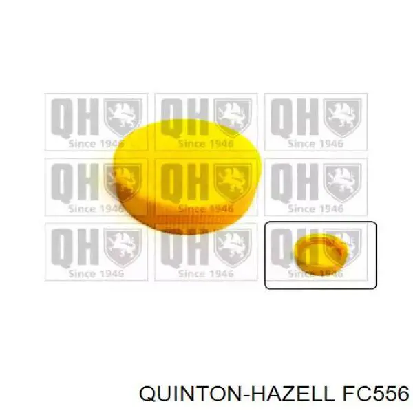 Tapon liquido refrigerante Renault (RVI) 2245251000 precio, desde 1,36 EUR