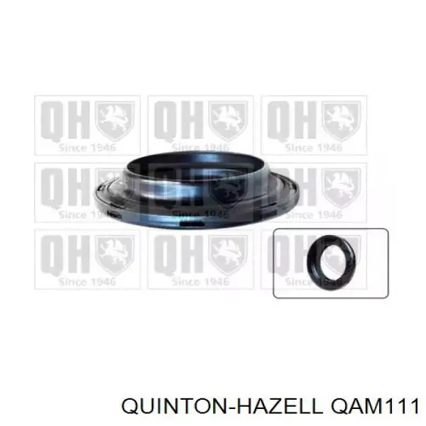 QAM111 QUINTON HAZELL rodamiento amortiguador delantero