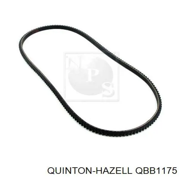 Correa accesorios Ford 1693746M1