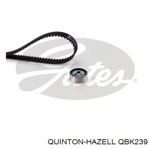 QBK239 QUINTON HAZELL kit correa de distribución