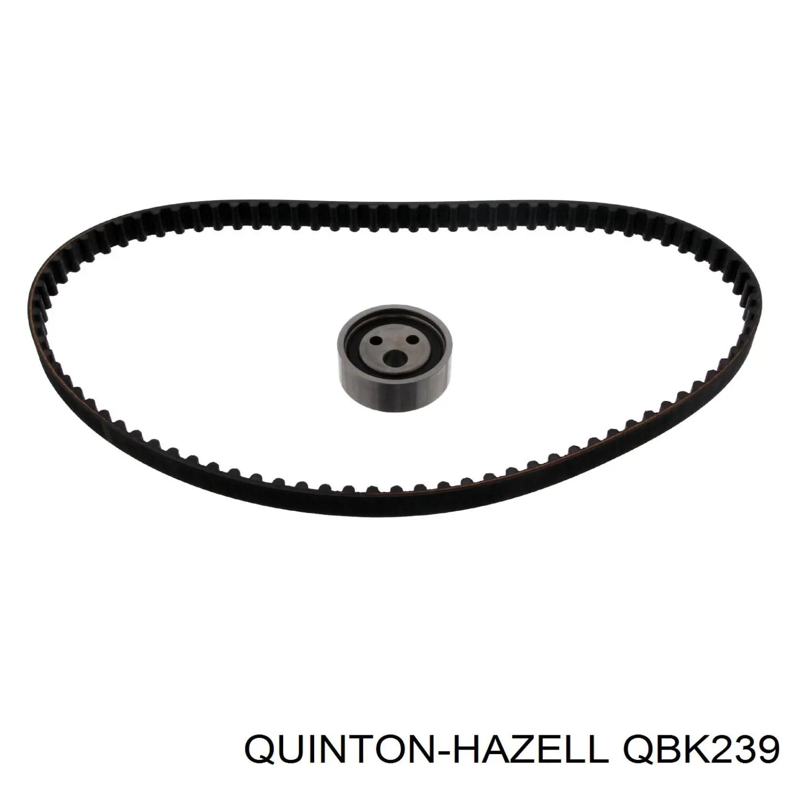 Kit de distribución 8671018735 Renault (RVI)