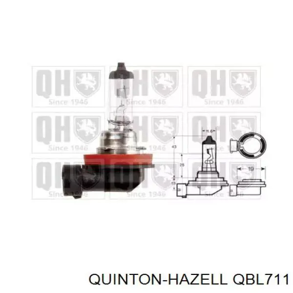 Comprar 63112352235 BMW Bombilla de luz