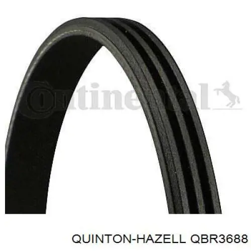 QBR3688 QUINTON HAZELL correa trapezoidal