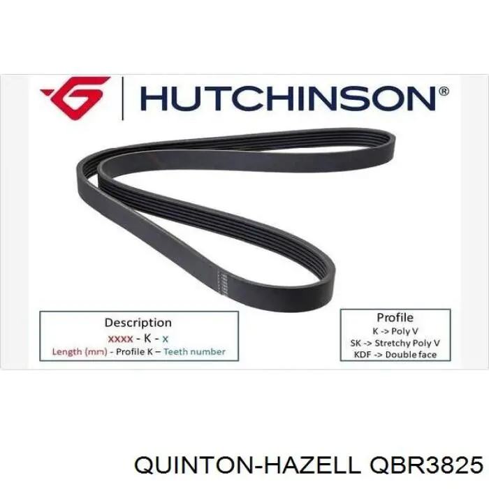 QBR3825 QUINTON HAZELL correa trapezoidal