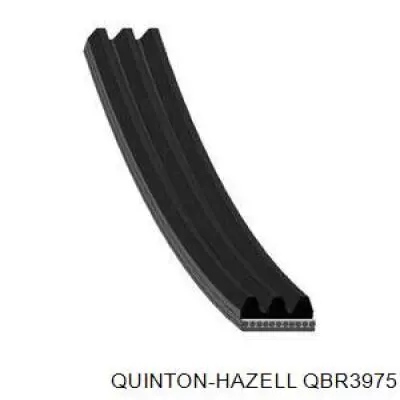 qbr3975 QUINTON HAZELL correa trapezoidal