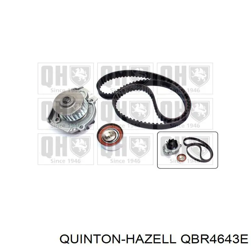 Correa de alternador 55564676 General Motors