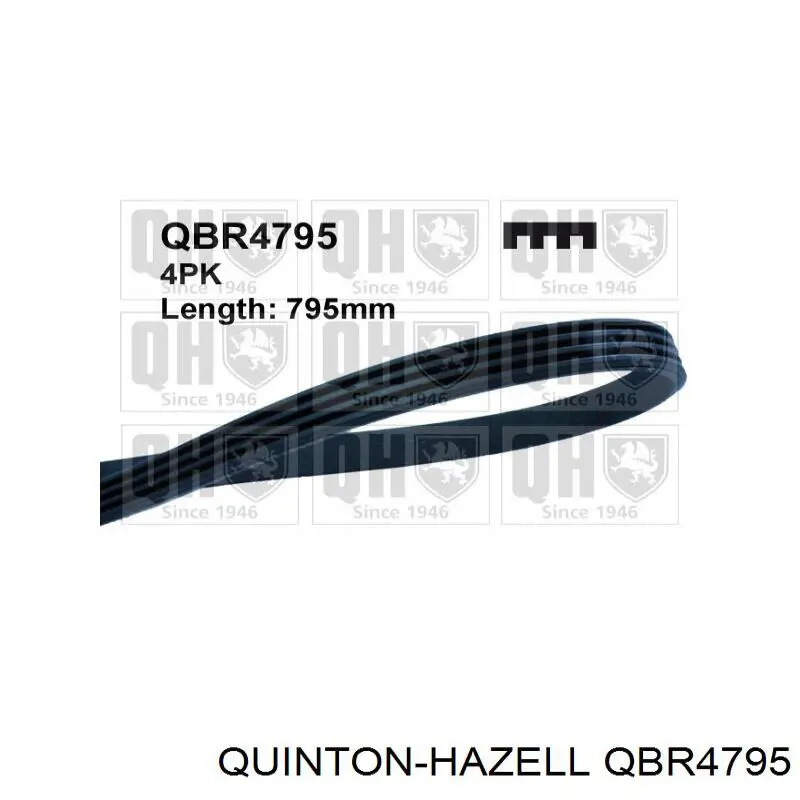 QBR4795 QUINTON HAZELL correa trapezoidal