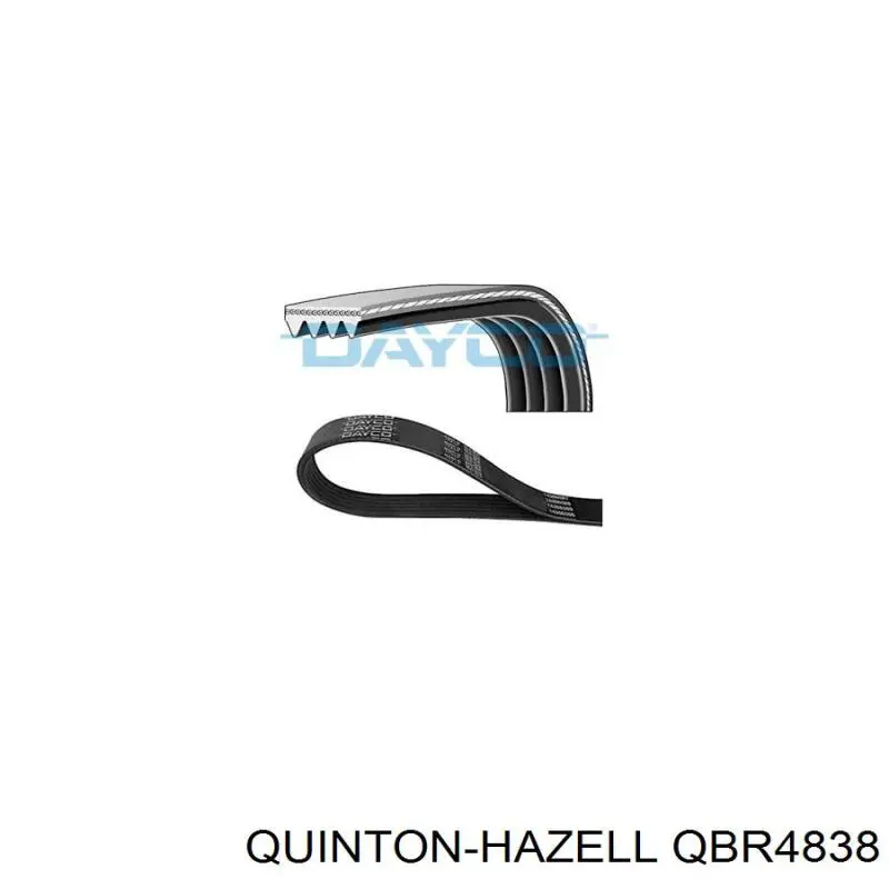 Correa de transmisión trapezoidal BMW 31110P3G004 precio, desde 6,88 EUR