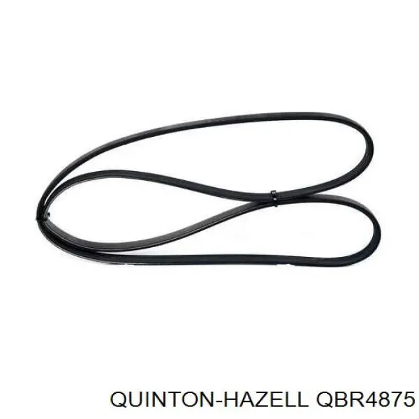 Correa de transmisión trapezoidal QUINTON HAZELL QBR4875 precio, desde 13,50 EUR
