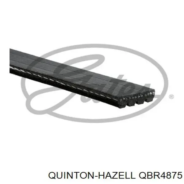 Comprar QBR4875 QUINTON HAZELL Correa trapezoidal
