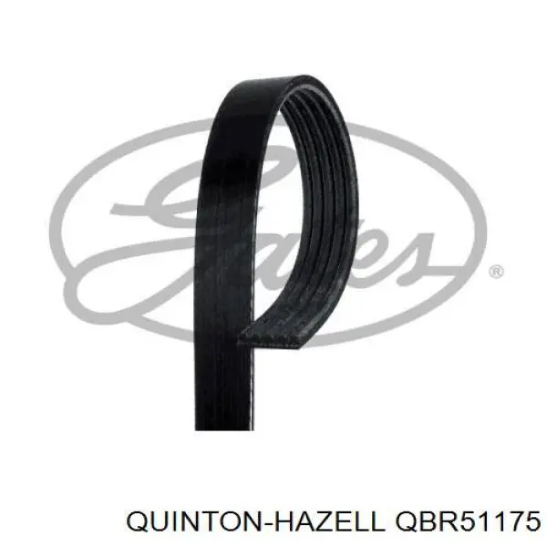 QBR51175 QUINTON HAZELL correa trapezoidal