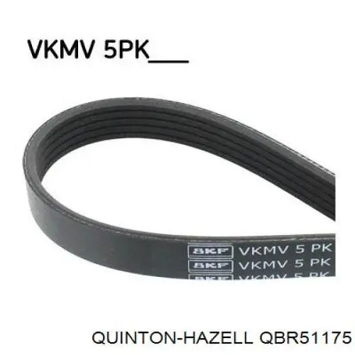Correa de transmisión trapezoidal Fiat/Alfa/Lancia 46548454 precio, desde 11,39 EUR