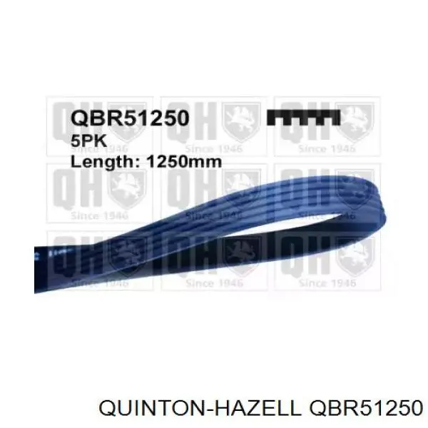 QBR51250 QUINTON HAZELL correa trapezoidal