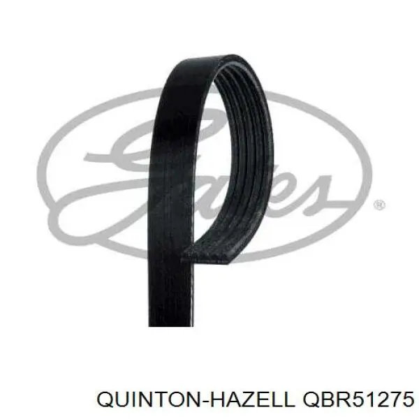 QBR51275 QUINTON HAZELL correa trapezoidal