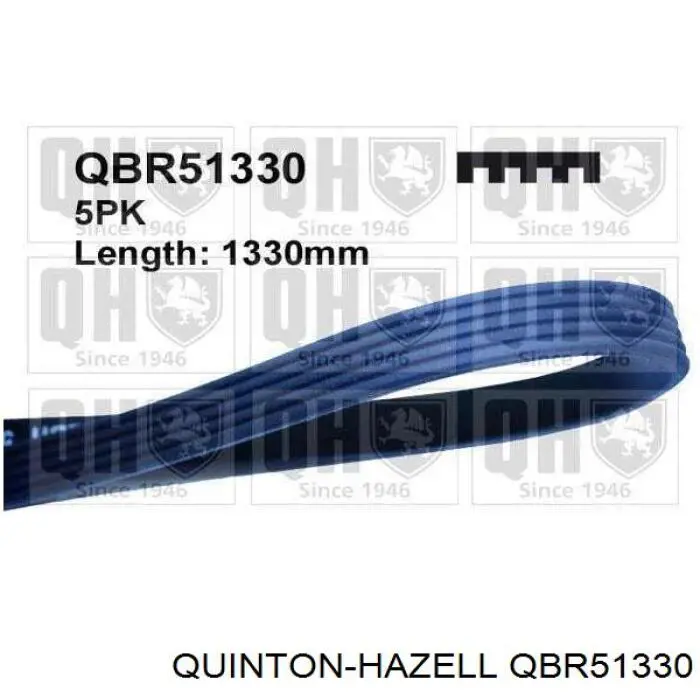 Comprar MZ690251 Mitsubishi Correa trapezoidal