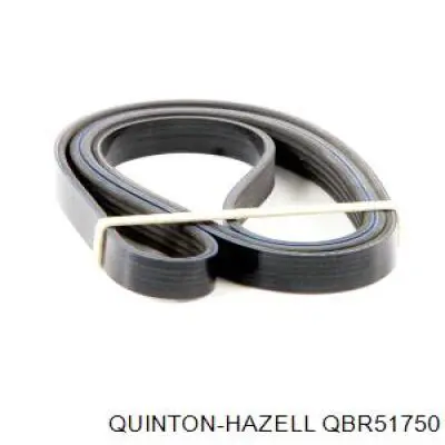 Correa accesorios Renault (RVI) 8671018540