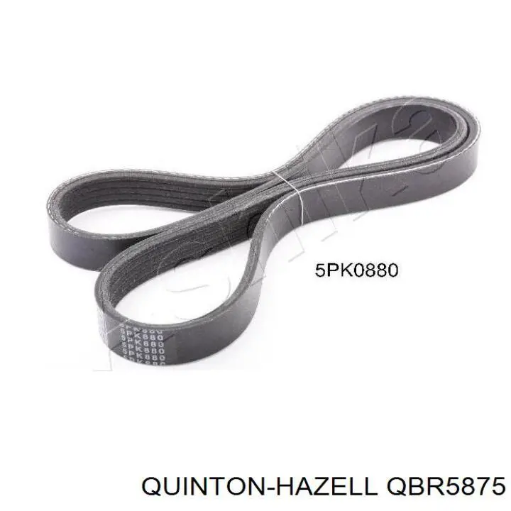 QBR5875 QUINTON HAZELL correa trapezoidal