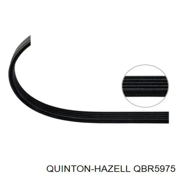 QBR5975 QUINTON HAZELL correa trapezoidal