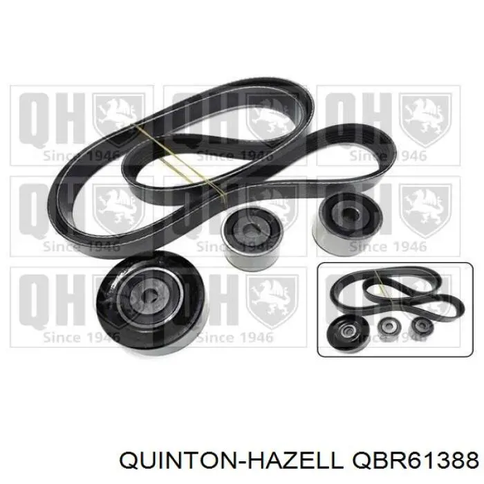 QBR61388 QUINTON HAZELL correa trapezoidal