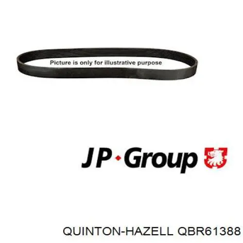 00005750GP Peugeot/Citroen Correa poly v