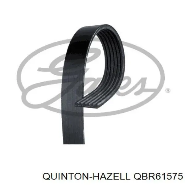 Correa accesorios Ford DS7Z8620B