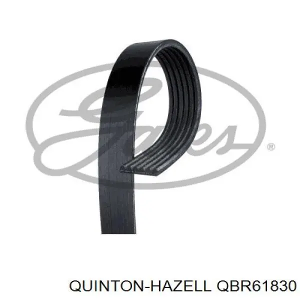 Comprar 2521204501 Hyundai/Kia Correa trapezoidal
