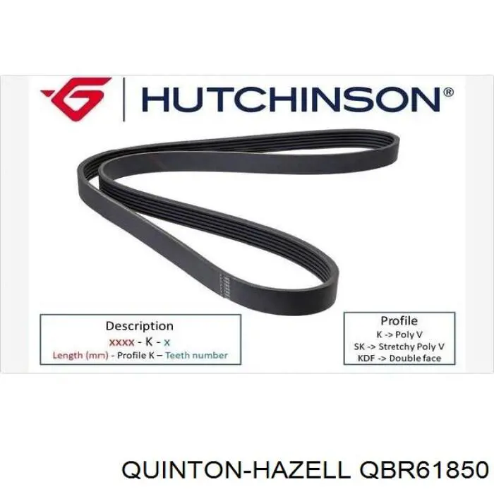 QBR61850 QUINTON HAZELL correa trapezoidal