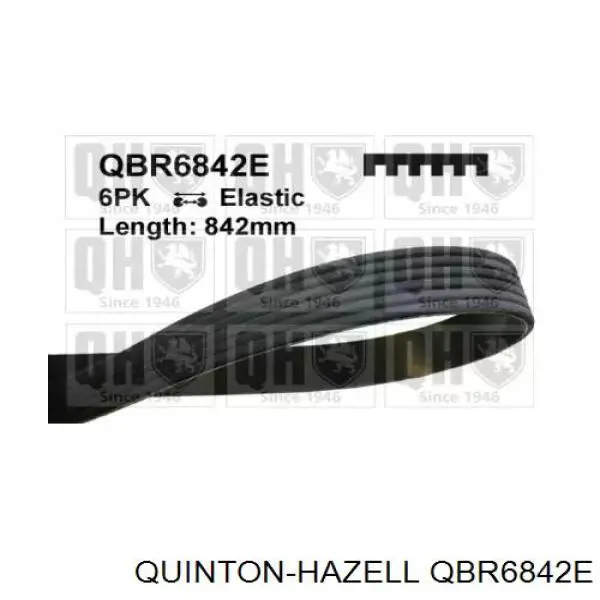 Comprar 03L903137B VAG Motor completo