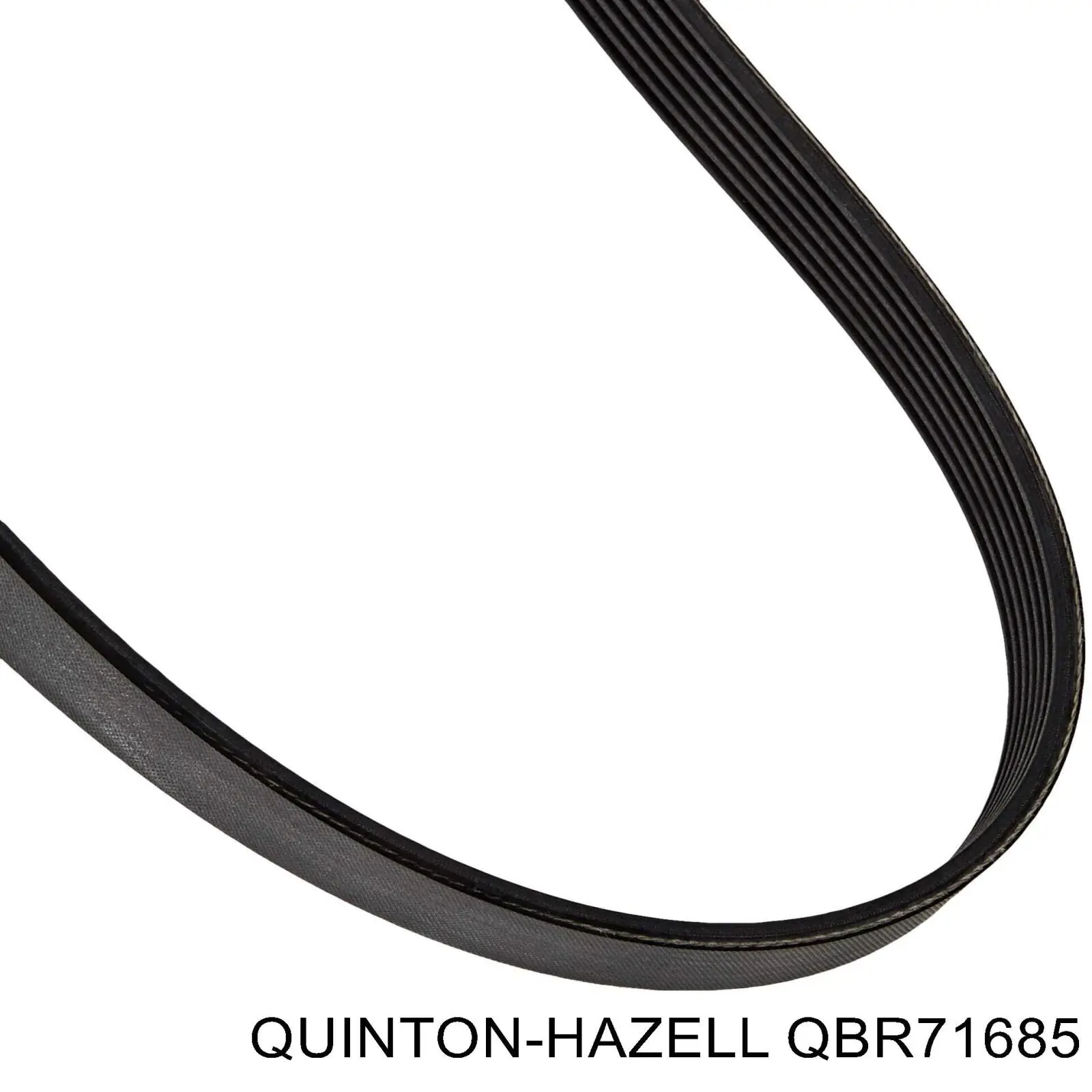 QBR71685 QUINTON HAZELL correa trapezoidal