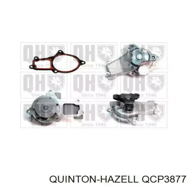 Bombeadora de agua Chrysler 4648952BB precio, desde 54,25 EUR