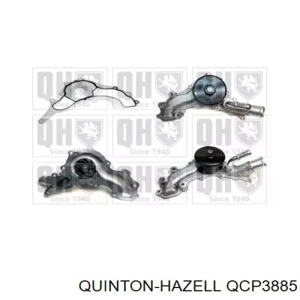 QCP3885 QUINTON HAZELL bomba de agua