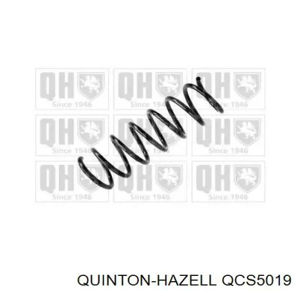 994442 Sachs Muelle trasero