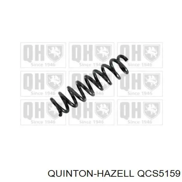 33536851727 BMW Muelle trasero