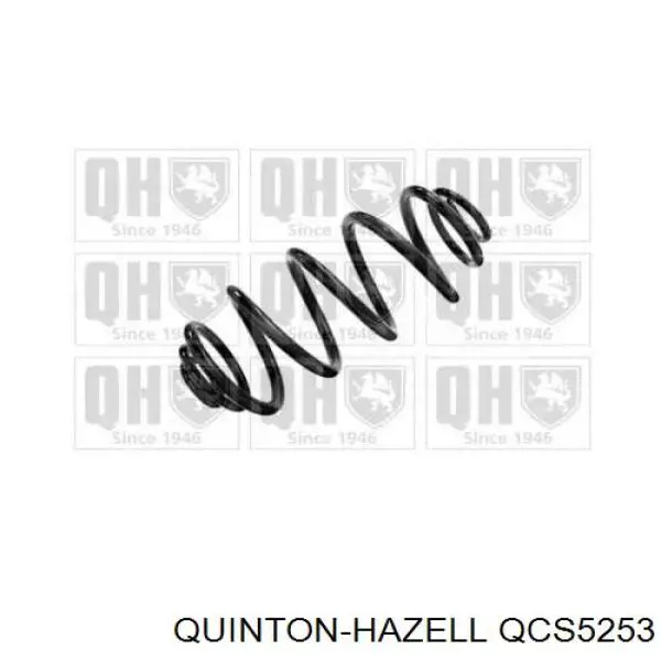 Muelle de suspensión trasero QUINTON HAZELL QCS5253 precio, desde 132,68 EUR