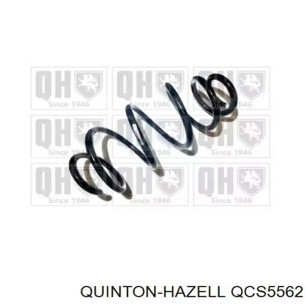 Comprar 13302200 Opel Muelle delantero