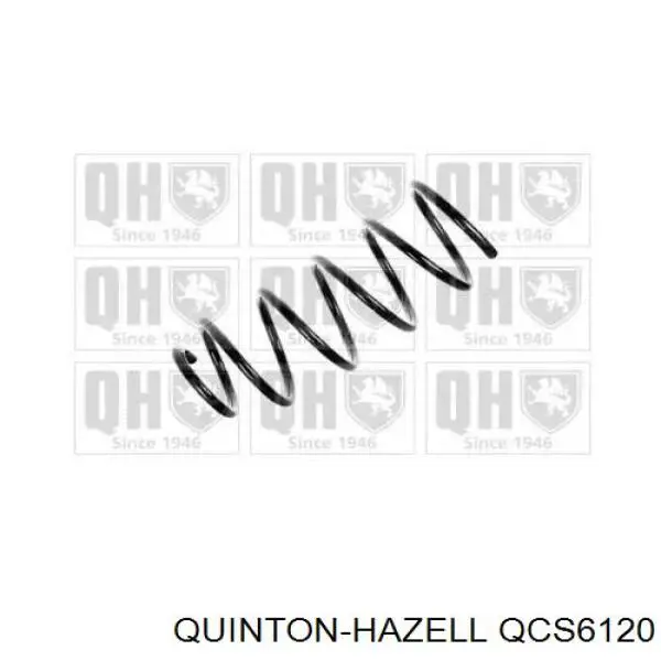 Muelle delantero VAG 6N0411105AA precio, desde 52,27 EUR