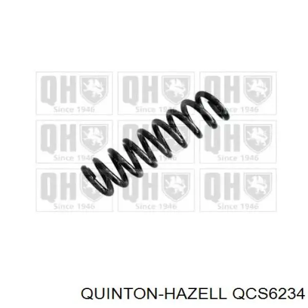 Muelle de suspensión trasero BMW 33536851931 precio, desde 49,43 EUR