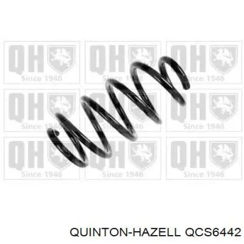 5020909 Autotechteile Muelle trasero