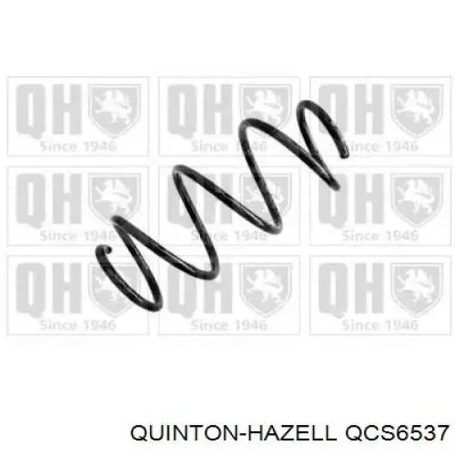 Muelle delantero 31336851715 BMW