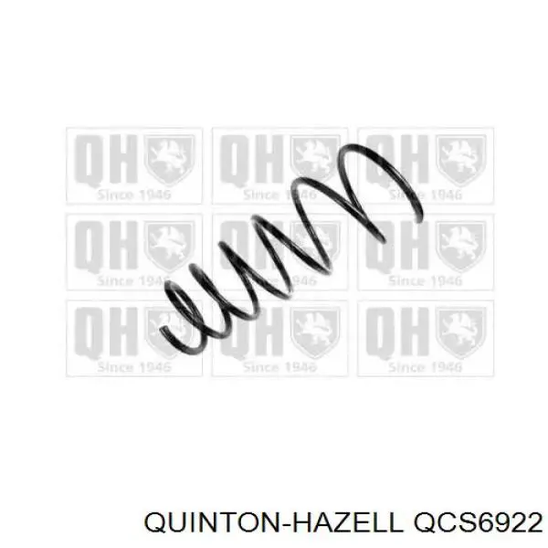 Comprar 46801826 Fiat/Alfa/Lancia Muelle delantero