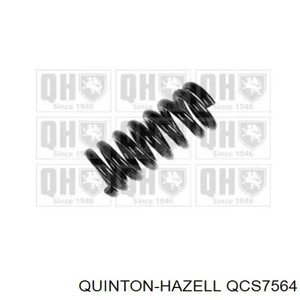 Muelle trasero para Citroen C15  VD