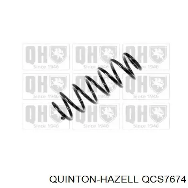 4255477 Lesjofors Muelle trasero