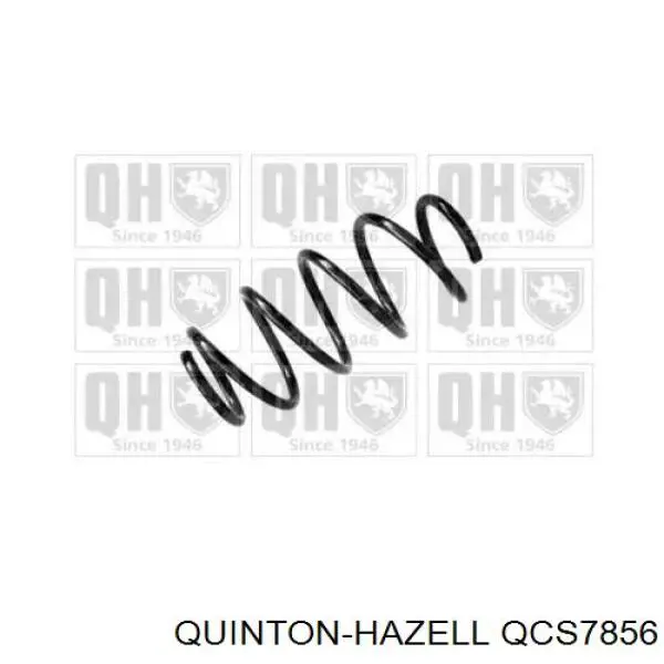 Muelle delantero VAG 6Q0411105M precio, desde 53,54 EUR
