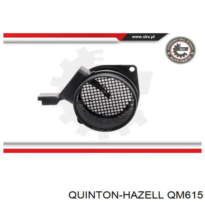 Sensor MAF Peugeot/Citroen 5WK628