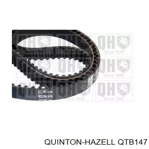 QTB147 QUINTON HAZELL correa distribucion