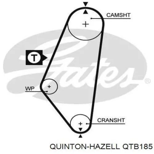 QTB185 QUINTON HAZELL correa distribucion