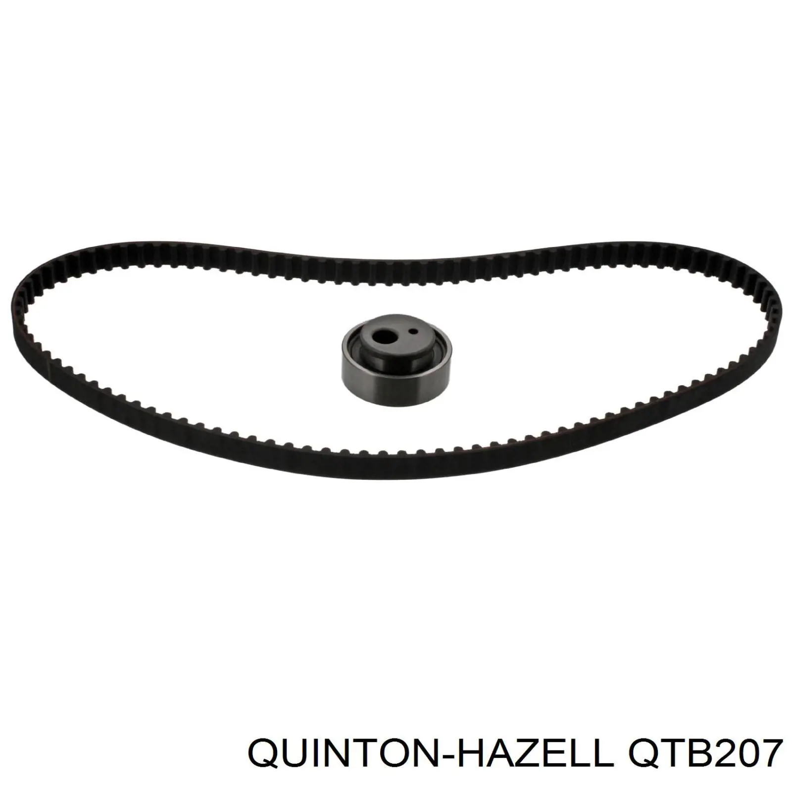 081644 Peugeot/Citroen Correa dentada