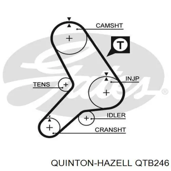 QTB246 QUINTON HAZELL correa distribucion