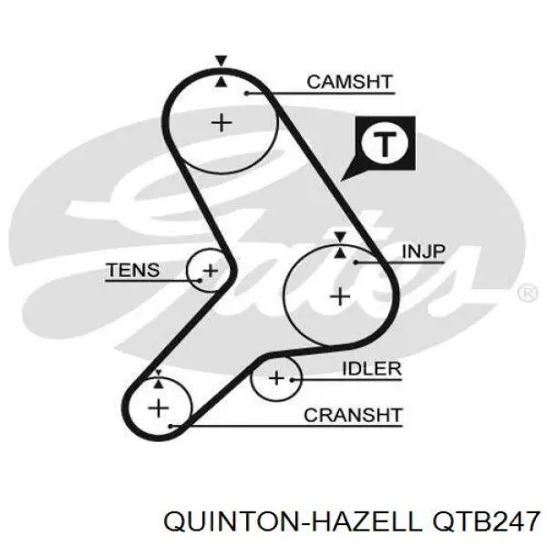 QTB247 QUINTON HAZELL correa, bomba de alta presión